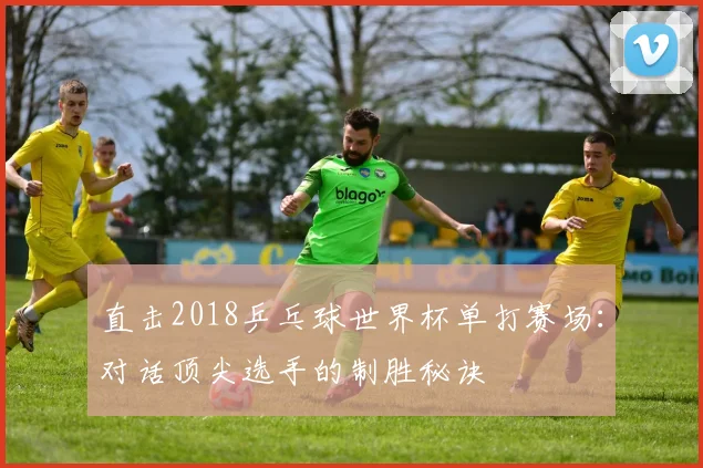 直击2018乒乓球世界杯单打赛场：对话顶尖选手的制胜秘诀