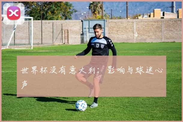 世界杯没有意大利：影响与球迷心声
