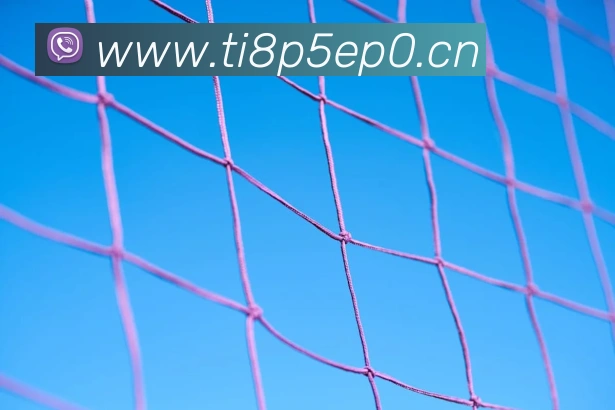 星空体育官网品牌故事