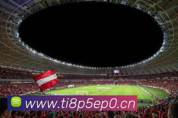 年女排世界杯：中国队夺冠背后的故事与数据分析